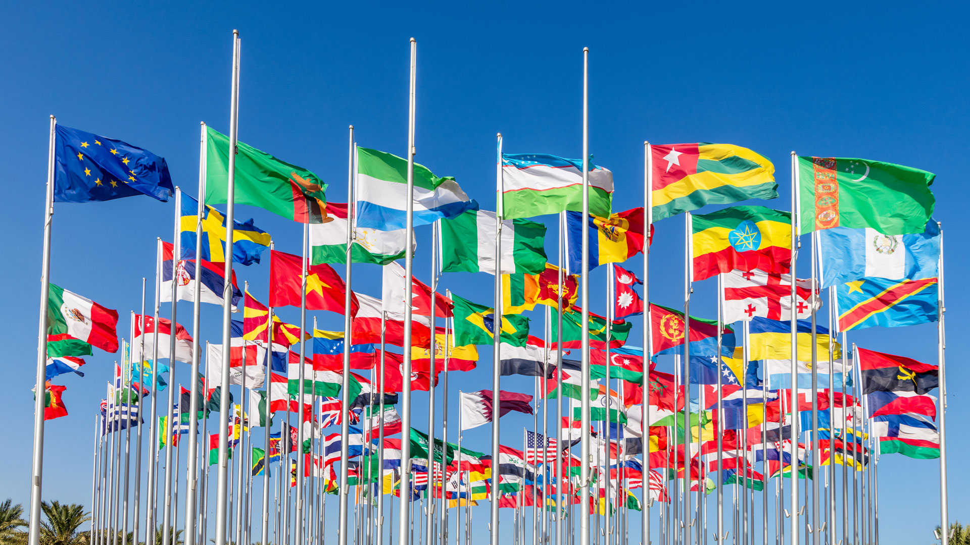 Экономическое гражданство: как получить паспорт за инвестиции